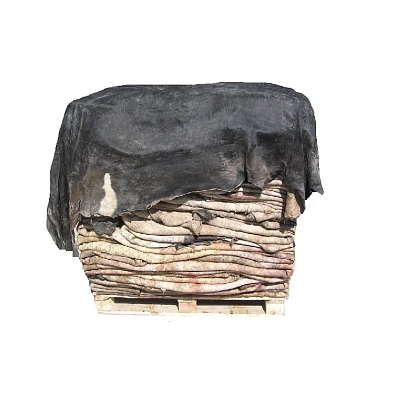 Angus raw salted hides
